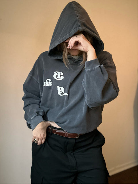 Anine Bing Grey Hoodie