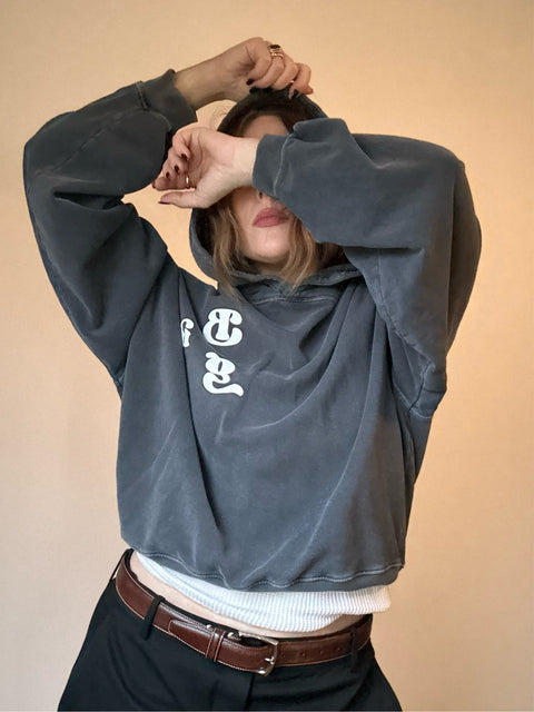 Anine Bing Grey Hoodie