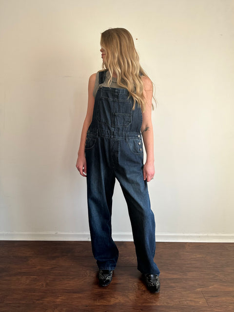 Free People Dark Denim Overalls